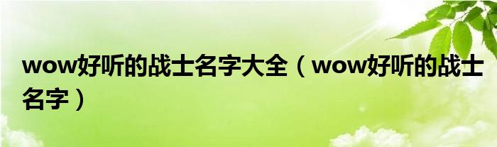 wow好听的战士名字大全（wow好听的战士名字）