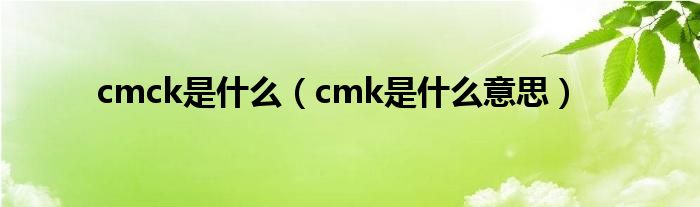 cmck是什么（cmk是什么意思）