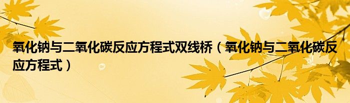 氧化钠与二氧化碳反应方程式双线桥（氧化钠与二氧化碳反应方程式）