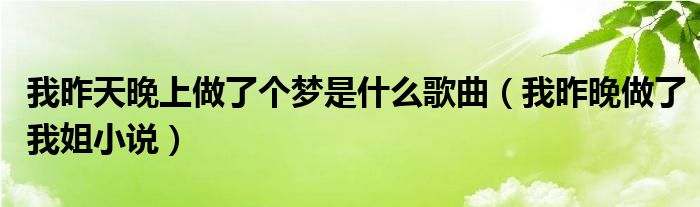 我昨天晚上做了个梦是什么歌曲（我昨晚做了我姐小说）