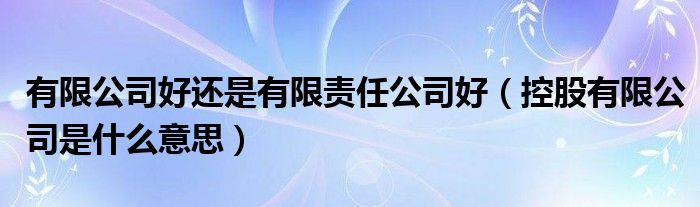 有限公司好还是有限责任公司好（控股有限公司是什么意思）