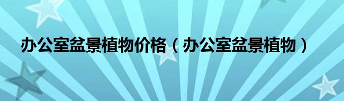 办公室盆景植物价格（办公室盆景植物）