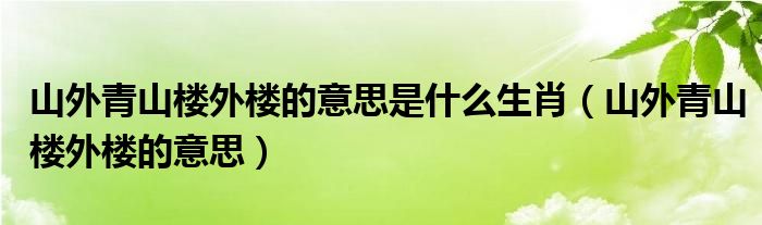 山外青山楼外楼的意思是什么生肖（山外青山楼外楼的意思）