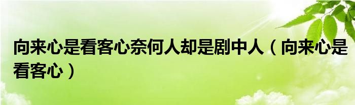 向来心是看客心奈何人却是剧中人（向来心是看客心）