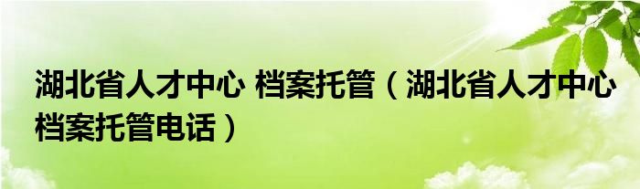 湖北省人才中心 档案托管（湖北省人才中心档案托管电话）