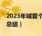 2023年城管个人工作总结（城管局个人工作总结）