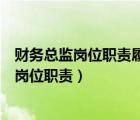 财务总监岗位职责履行情况总结评价与收获体会（财务总监岗位职责）