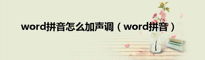 word拼音怎么加声调（word拼音）