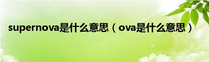 supernova是什么意思（ova是什么意思）