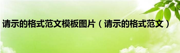 请示的格式范文模板图片（请示的格式范文）