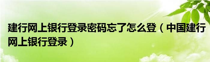 建行网上银行登录密码忘了怎么登（中国建行网上银行登录）