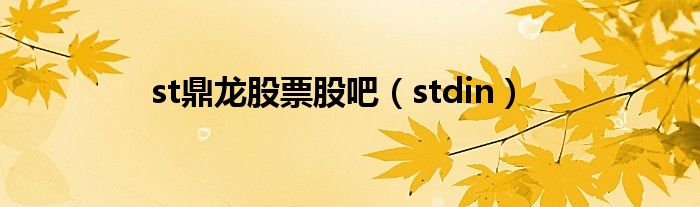 st鼎龙股票股吧（stdin）