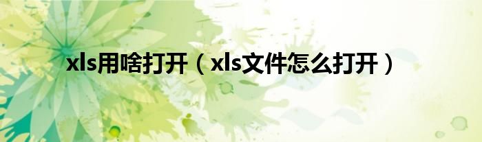 xls用啥打开（xls文件怎么打开）