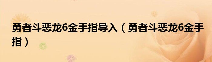 勇者斗恶龙6金手指导入（勇者斗恶龙6金手指）