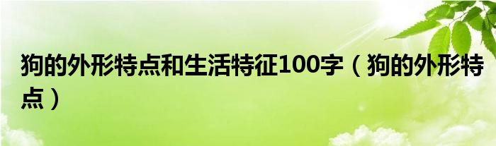 狗的外形特点和生活特征100字（狗的外形特点）