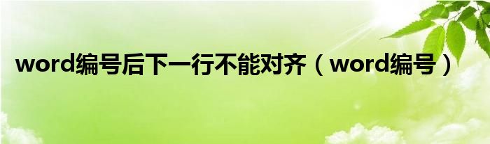 word编号后下一行不能对齐（word编号）