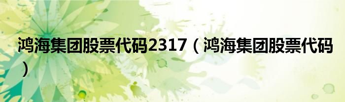 鸿海集团股票代码2317（鸿海集团股票代码）