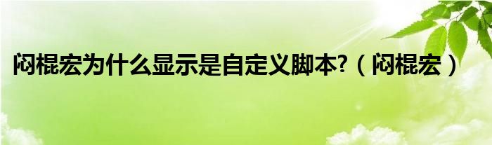 闷棍宏为什么显示是自定义脚本?（闷棍宏）