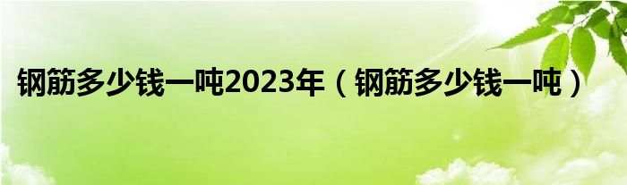 钢筋多少钱一吨2023年（钢筋多少钱一吨）