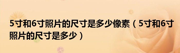 5寸和6寸照片的尺寸是多少像素（5寸和6寸照片的尺寸是多少）