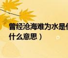 曾经沧海难为水是什么意思解释一下?（曾经沧海难为水是什么意思）