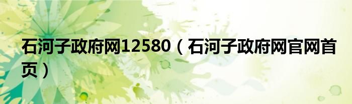 石河子政府网12580（石河子政府网官网首页）