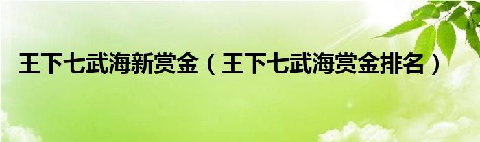 王下七武海新赏金（王下七武海赏金排名）