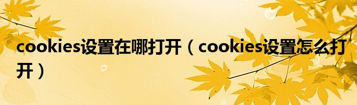 cookies设置在哪打开（cookies设置怎么打开）