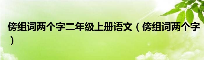 傍组词两个字二年级上册语文（傍组词两个字）