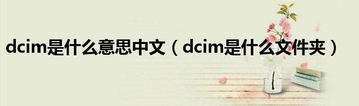 dcim是什么意思中文（dcim是什么文件夹）