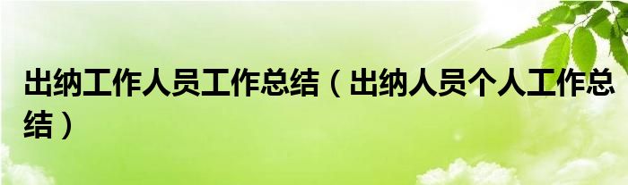 出纳工作人员工作总结（出纳人员个人工作总结）