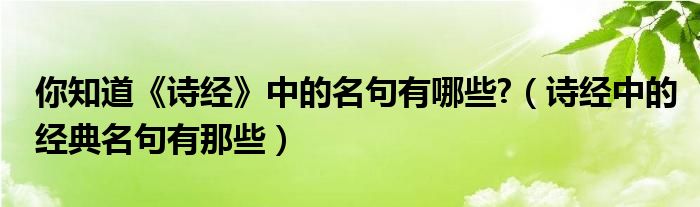 你知道《诗经》中的名句有哪些?（诗经中的经典名句有那些）