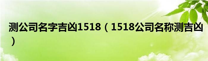 测公司名字吉凶1518（1518公司名称测吉凶）