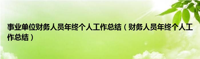 事业单位财务人员年终个人工作总结（财务人员年终个人工作总结）