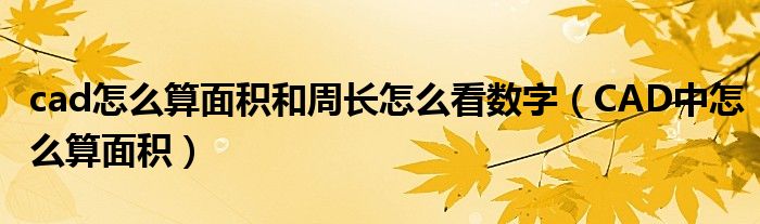 cad怎么算面积和周长怎么看数字（CAD中怎么算面积）