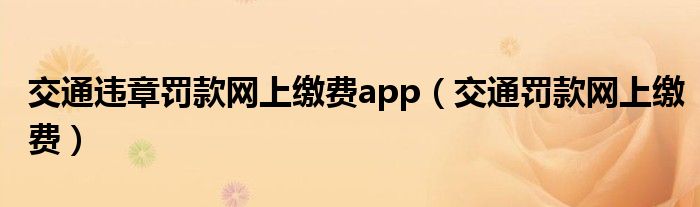 交通违章罚款网上缴费app（交通罚款网上缴费）