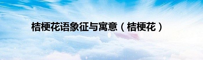 桔梗花语象征与寓意（桔梗花）