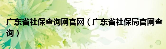 广东省社保查询网官网（广东省社保局官网查询）