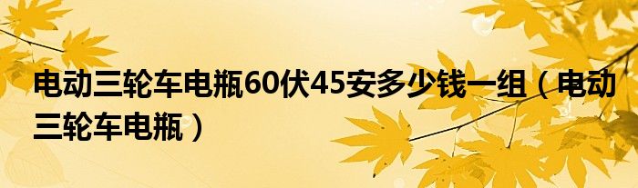 电动三轮车电瓶60伏45安多少钱一组（电动三轮车电瓶）