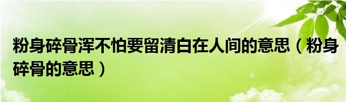 粉身碎骨浑不怕要留清白在人间的意思（粉身碎骨的意思）