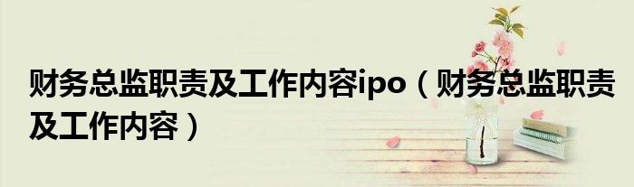 财务总监职责及工作内容ipo（财务总监职责及工作内容）