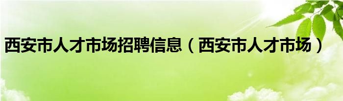 西安市人才市场招聘信息（西安市人才市场）