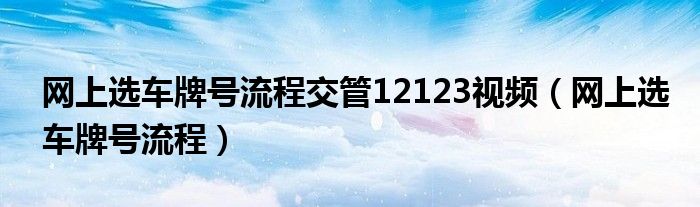 网上选车牌号流程交管12123视频（网上选车牌号流程）