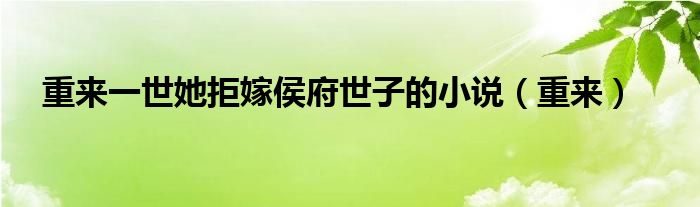 重来一世她拒嫁侯府世子的小说（重来）