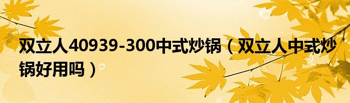 双立人40939-300中式炒锅（双立人中式炒锅好用吗）