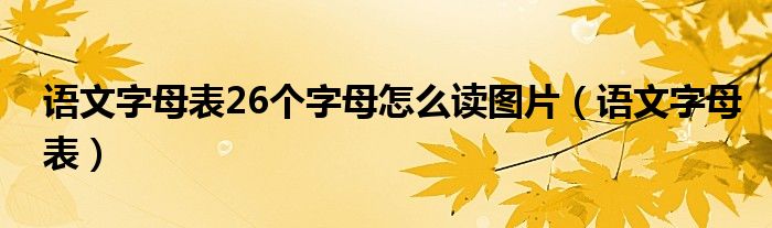 语文字母表26个字母怎么读图片（语文字母表）