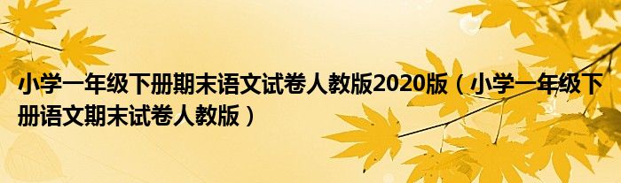 小学一年级下册期末语文试卷人教版2020版（小学一年级下册语文期末试卷人教版）