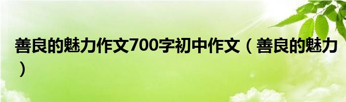 善良的魅力作文700字初中作文（善良的魅力）