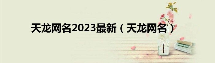 天龙网名2023最新（天龙网名）