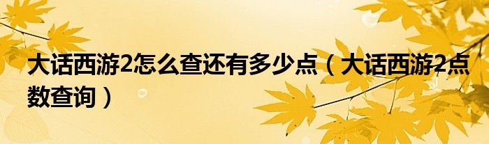 大话西游2怎么查还有多少点（大话西游2点数查询）